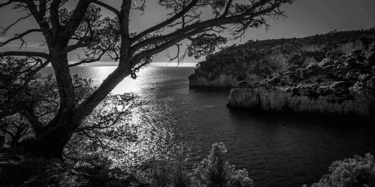 Apartamento Le Vallat Vue Terrasse Privative Jacuzzi Barbecue Calanques Cassis